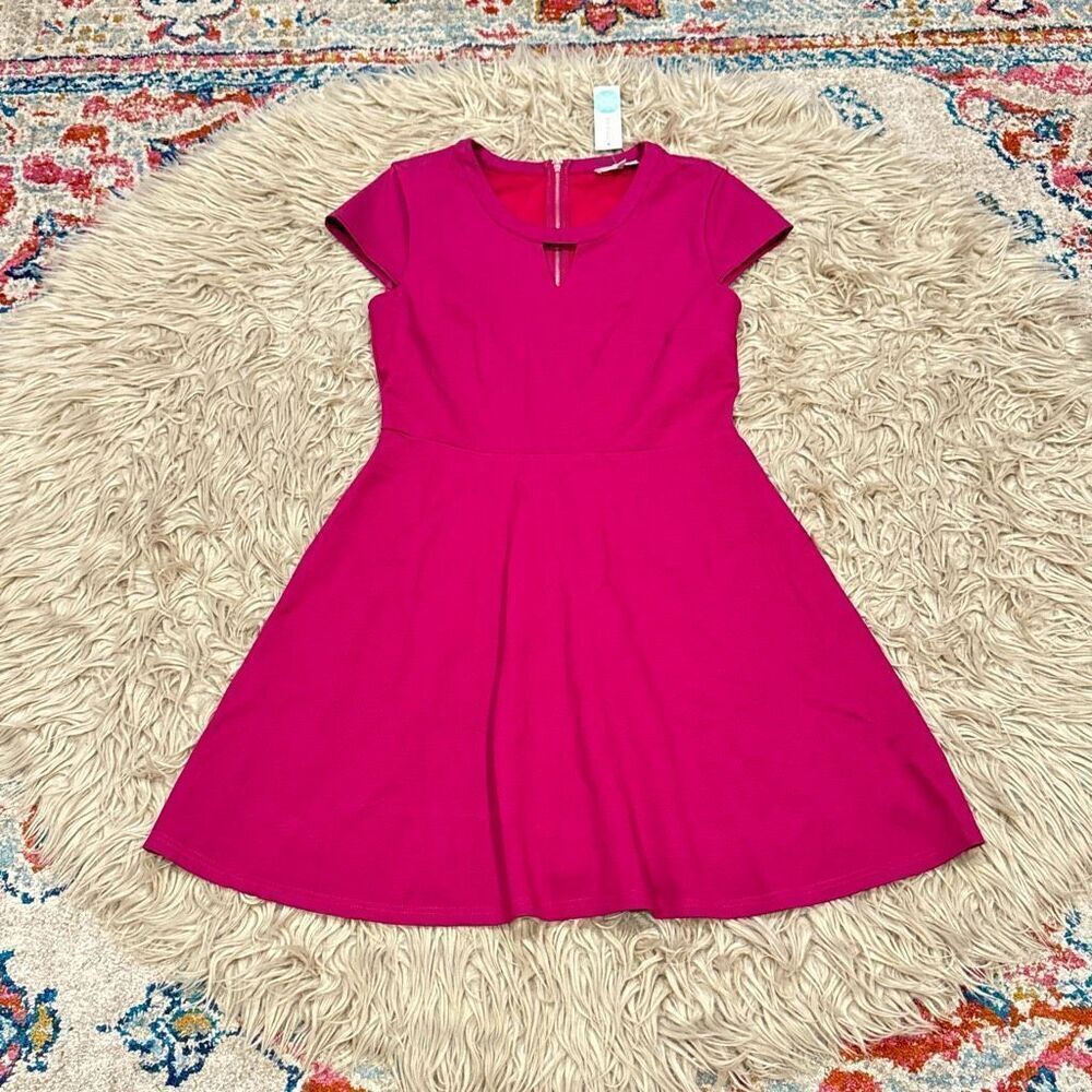 41 Hawthorn Pink Midi Dress